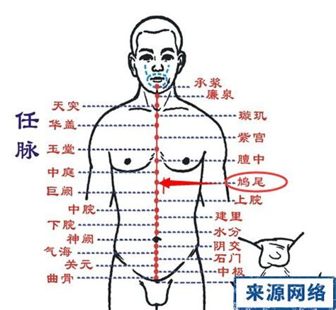 鳩尾穴位置|針灸學/鳩尾穴